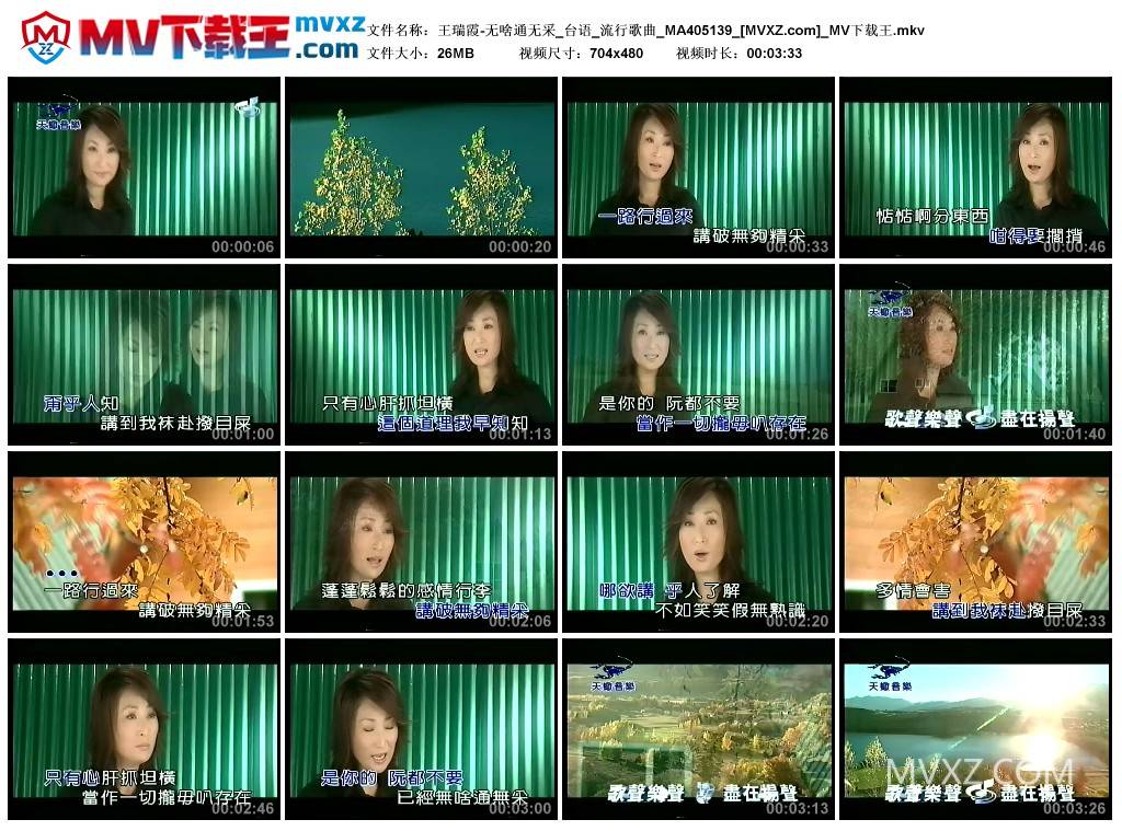 王瑞霞-无啥通无采_台语_流行歌曲_MA405139